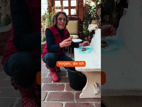 So kaufst du nie wieder Ingwer und Kurkuma! 🌱