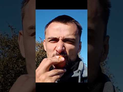 pomme sauvage #vlog #randonnée #pomme #bretagne #chill #sauvage #nature #degustation