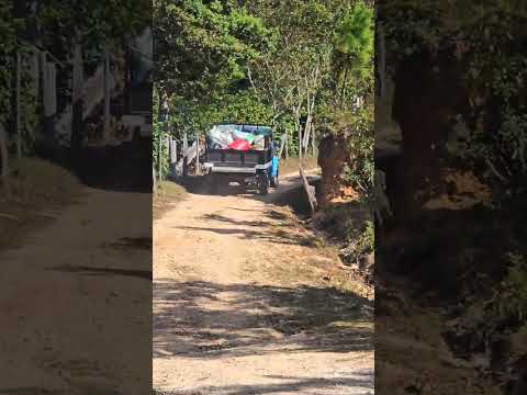 Un Toyota Land Cruiser de 1970 jalando café por Honduras y un Toyota de 1980