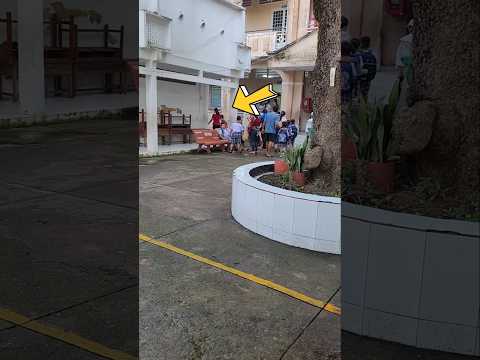 Ngày con đến trường