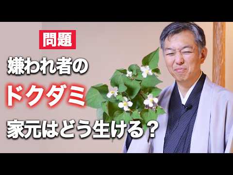 ガーデニングの嫌われ者ドクダミは生け花に使えるのか?