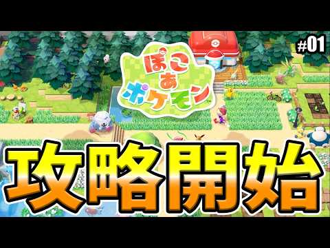 ぽこあポケモン 攻略開始します！！