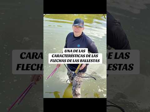 Las flechas de nuestras ballestas flotan en el agua! Recupera las tuyas fácil#TiendaTácticaDeportiva