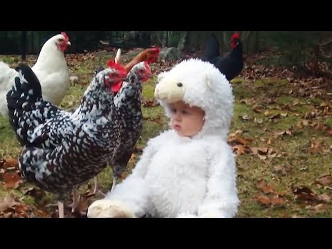 Cute Babies Love Farm Animals - TRY NOT TO LAUGH at This Funny Baby Fails Compilation