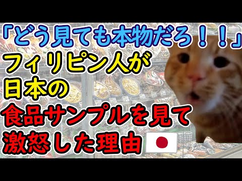【猫ミームで解説】「食べ物が店頭に置きっぱなし!?日本は食べ物を粗末にする最低の国!」食品サンプルがあまりにもリアルすぎて本物と間違えてしまったフィリピン人の話#海外の反応