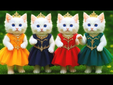 बिल्ली  डांस,💃| Cutest Cat videos funny dance 🤣 💃 Videos for cats #funny #dancingcat #cat #kitten