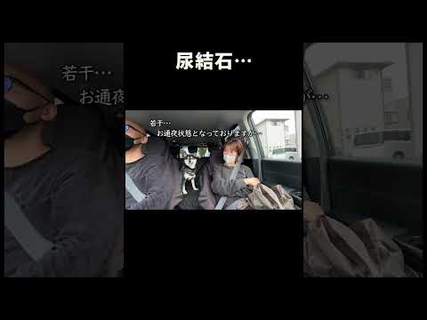 尿結石疑惑…