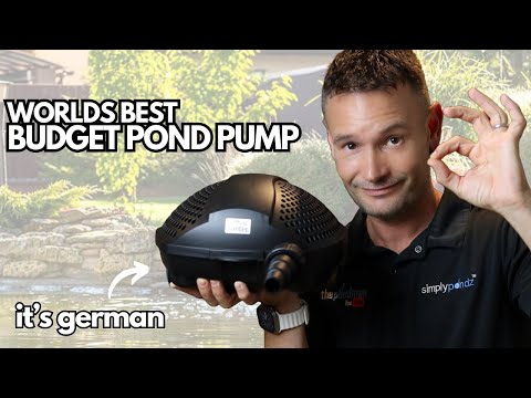 Splashing with Savings_ The World's Best Budget Po This pond pump is the Pontec Pondo Max range where we are doing an 8-year later review! We have inst