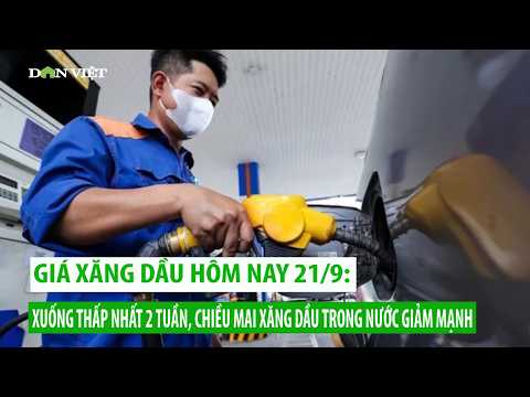 Giá xăng dầu hôm nay 23/9: Xuống mức thấp nhất 2 tuần, chiều mai xăng dầu trong nước <strong>giảm</strong> mạnh?