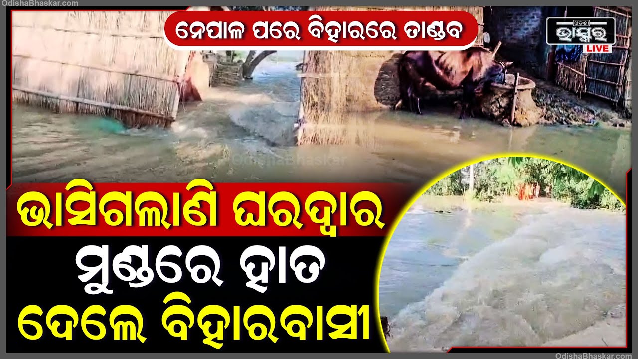 ବିହାରରେ ବର୍ଷାର ତାଣ୍ଡବ । ବନ୍ୟା ପରିସ୍ଥିତି ସୃଷ୍ଟି । ଘର ଭିତରେ ଓ ବାହାରେ ଆଣ୍ଠୁଏ ଆଣ୍ଠୁଏ ପାଣି ।