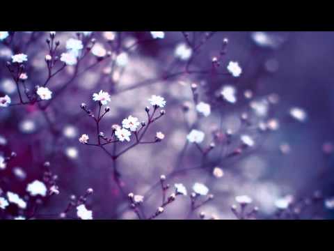 Madza - Tears in Your Eyes (Free Download) - UCd24KR51l3JzGZh7GoW0OEg