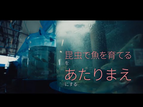 【昆虫マテリアル】海を守る、新しい”エサ”のカタチ。