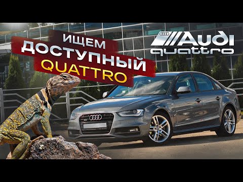 Жива ли  Audi A4 B8 quattro?