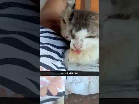 ey ey timut ke barat selatan ke utara🗿🗿