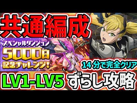 5000日ダンジョンをキコル共通編成で攻略！宝玉250個を14分でゲットしよう！LV1-LV5対応！【パズドラ】