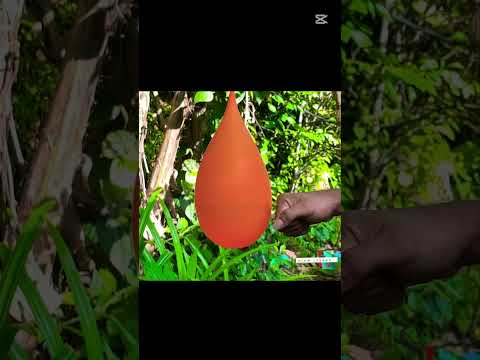 Reality vs Slow motion ⌛ | What is the best? #experiment #slowemotion #coolvideo #slowvideo