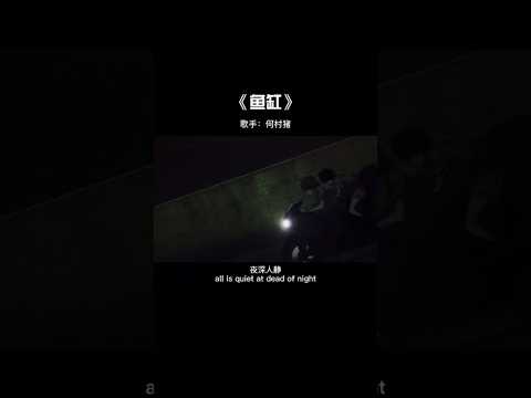 鱼缸 #音乐 #音楽 #音樂 #文案