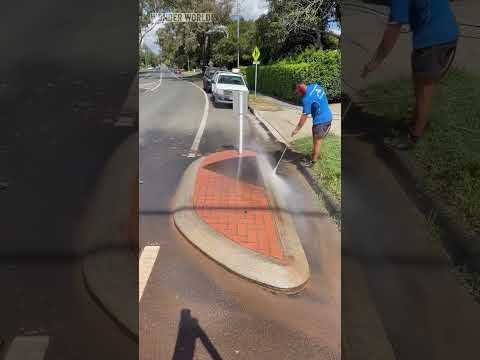 Watching this Scratches an Itch