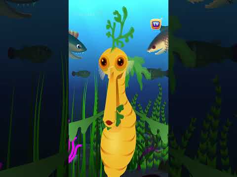 Leafy Sea Dragon Nursery Rhyme #Shorts #ChuChuTV #NurseryRhymes #learningsongs #ChuChuTV100M