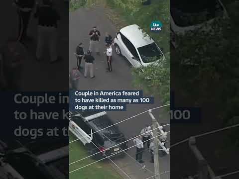 Couple charged with killing 30 dogs in America #itvnews #news #usa