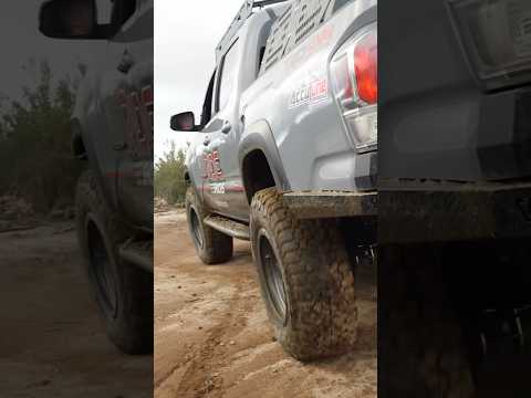 Rain or shine, Ride Shocks deliver! #rideshocks #tacoma