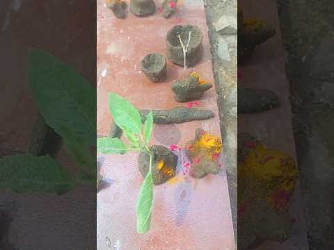 दिवाळी💖💥#funny #school #happy #happydiwali