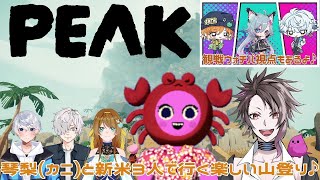 【#PEAK】 登頂経験者に従えば初心者でも登頂できるやろwww ※概要欄見てね 【病上元気/Vtuber】
