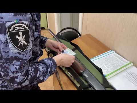 За первое полугодие жители Коми добровольно сдали 92 единицы оружия