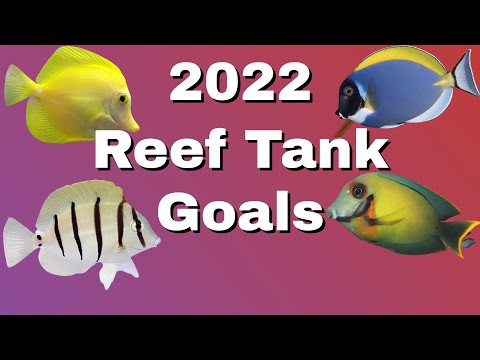 Our 2022 Reef Tank Aquarium Goals ( What we plan t This week we are setting our goals for our reef tank aquarium in 2022. This is what we plan to do fo