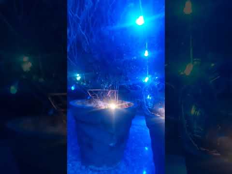 मंदिर में बैठे श्याम गमले में बैठे तुलसा🙏#youtube # शॉर्ट्स #वीडियो