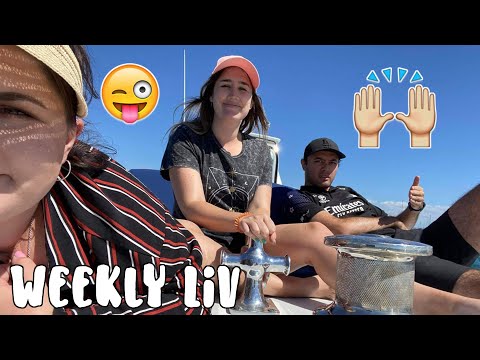 O hai! Catching Up | Weekly Liv #50