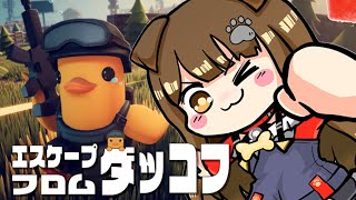 【 初見 ダッコフ 】アヒルと一緒に博士のために働こう🐶【遠吠きゃん】