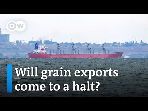 Moscow: All Ukraine-bound ships are potential targets | DW News
