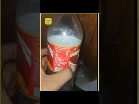 How Do Microplastics Harm US😱