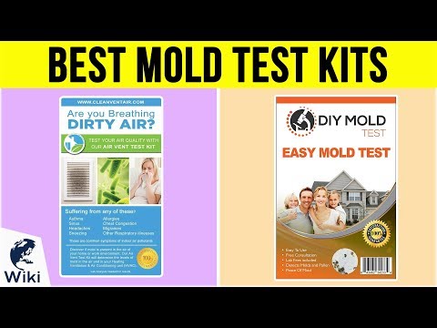 7 Best Mold Test Kits 2019 - UCXAHpX2xDhmjqtA-ANgsGmw