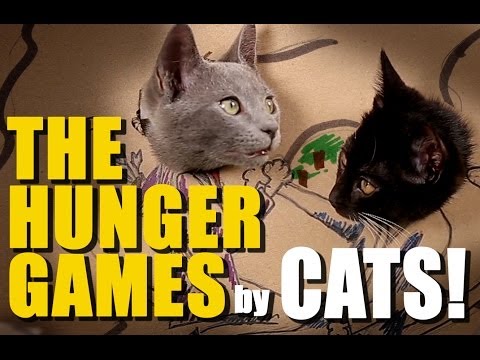 CATS remake HUNGER GAMES with Cardboard! - UCPIvT-zcQl2H0vabdXJGcpg