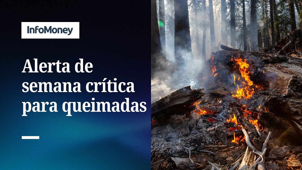 Defesa Civil prevê semana crítica para queimadas em São Paulo | InfoMoney News