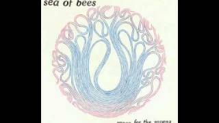 sea of bees - skinny bone