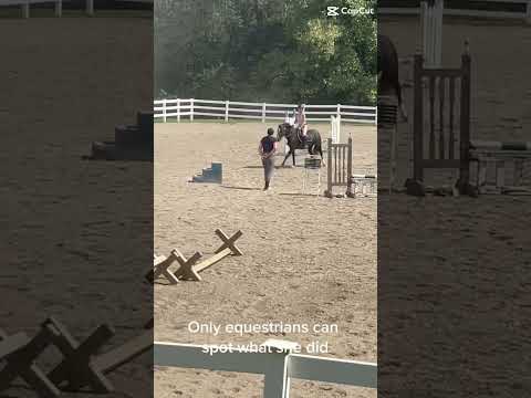 What did she do?! #equestrianjourney #horse #pony #horsefan #horsegirl #kayburtequinetherapy