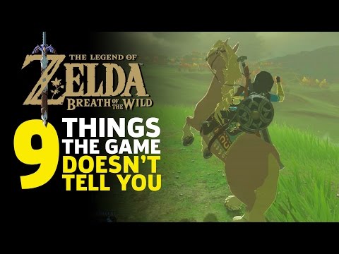 9 Things I Wish I Knew Before I Started Zelda: Breath of the Wild - UCbu2SsF-Or3Rsn3NxqODImw