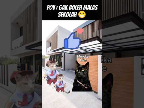 Pov : Gak Boleh Malas 😁 #meme #cat #kucing #funny #fypシ