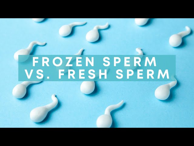 How To Preserve Sperm?