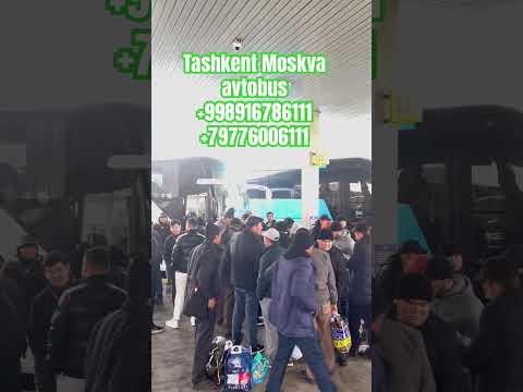 tashkent moskva avtobus-ташкент москва автобус #москва #ташкент #shorts #