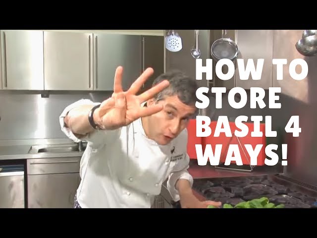 How to Preserve Fresh Basil