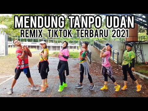 DJ MENDUNG TANPO UDAN - REMIX TIKTOK TERBARU