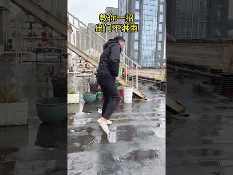 Here s a trick for you to avoid getting wet when you go out. Whatever the boss says is rig