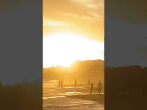 流すだけで浄化！聖音ガヤトリーマントラ:至高の光がすべての恐れ・病・カルマを浄化する【528Hz＆963Hz特殊音源】 #癒し #gayatri #528hz #healing#peace