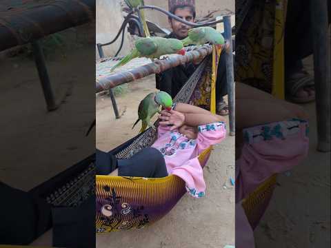 Mini Viral Shorts 1 #viral #shorts