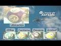 Quiniela Matutina de San Luis N°5352 24-05-2025