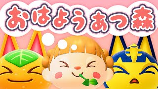 朝活🐓おはようあつ森！8/12(火)